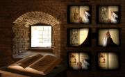 museo Castello