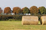agri