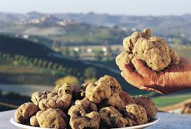 tartufo