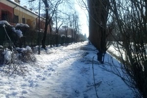 CAM03563