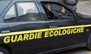 guardie