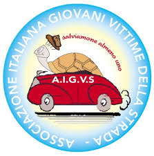 a.i.g.v.s.