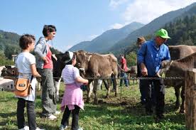 festival contadino