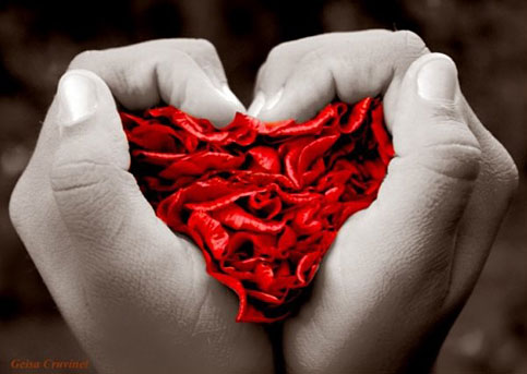 donazione organiiiiiiiiiii