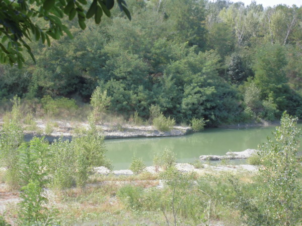 CIMG1563
