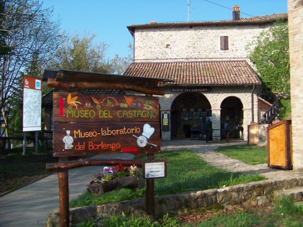 Museo del Castagno