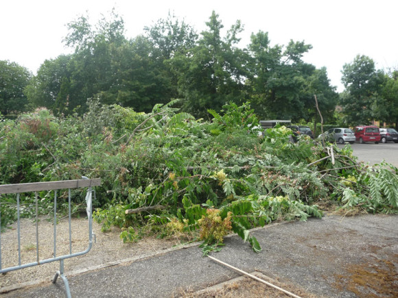P1040914