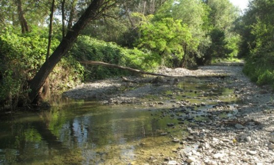 torrente grizzaga-2