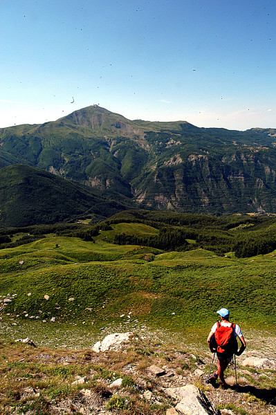 PhTorre (89)