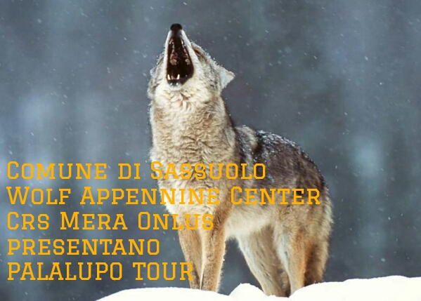 palalupo