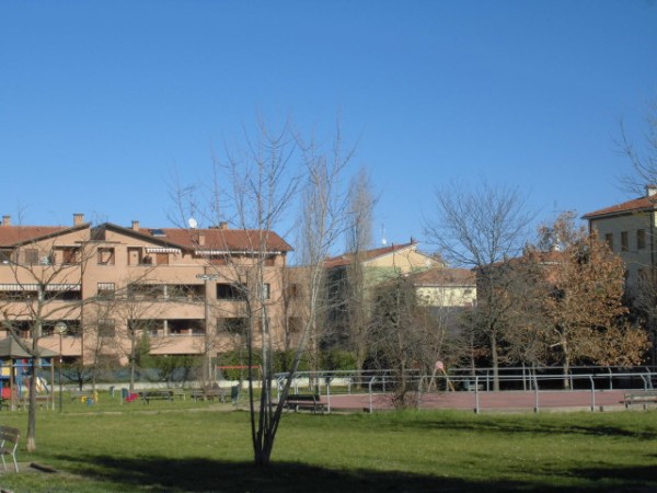 CIMG1831