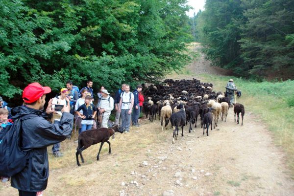 escursionisti-cimone