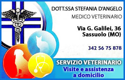 veterinario