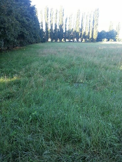 NUOVO IMPIANTO D’IRRIGAZIONE AL PARCO DUCALE