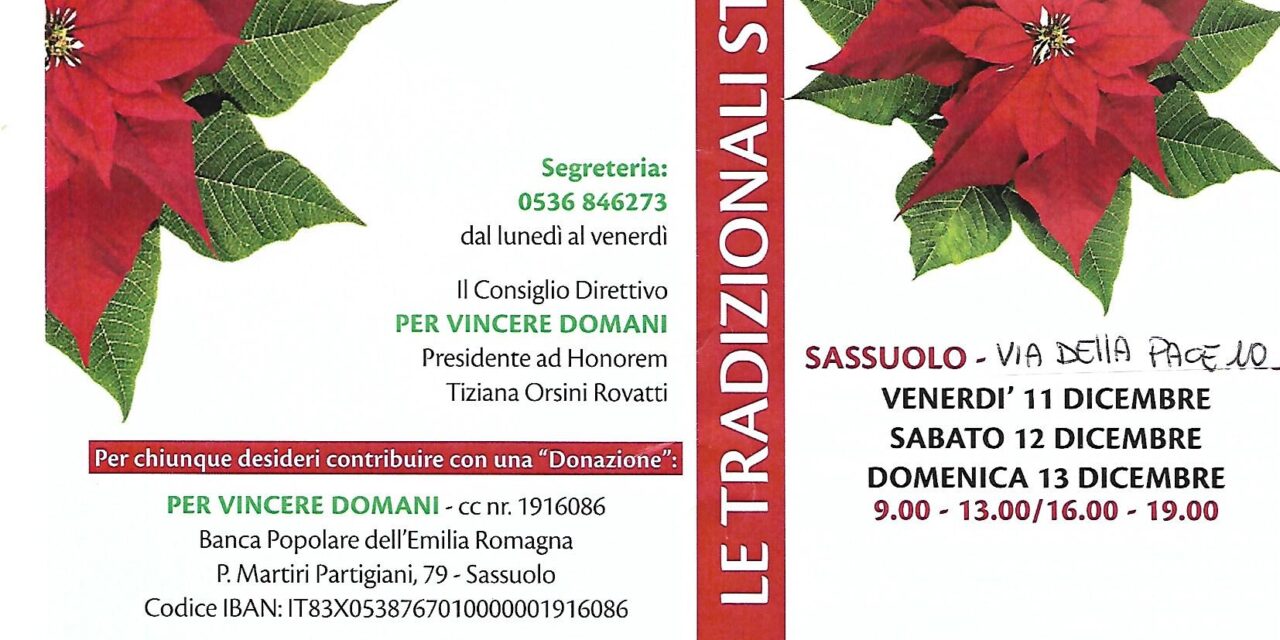 Le Stelle di Natale di Per Vincere Domani per un sorriso solidale