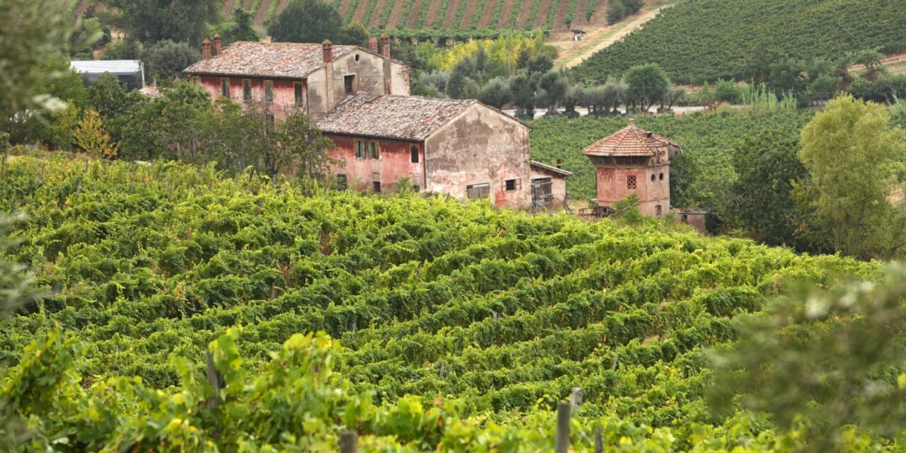 Oltre 5,7 milioni di € i contributi per la promozione dei vini Grazie alla regia di Enoteca Regionale Emilia Romagna ben due progetti hanno ottenuto il finanziamento OCM Vino – misura “Promozione sui mercati dei Paesi terzi”