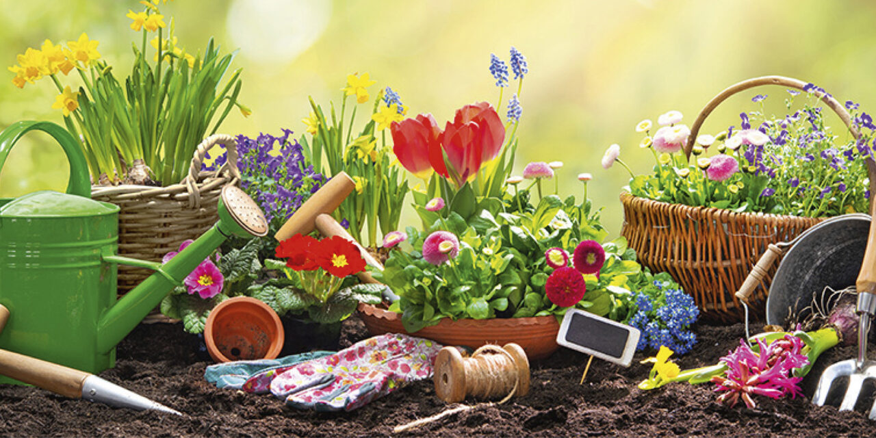 È arrivata la primavera: occupiamoci del nostro giardino