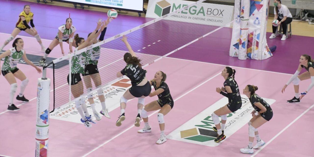La Green Warriors si ferma in semifinale: in gara 3, cede 3-0