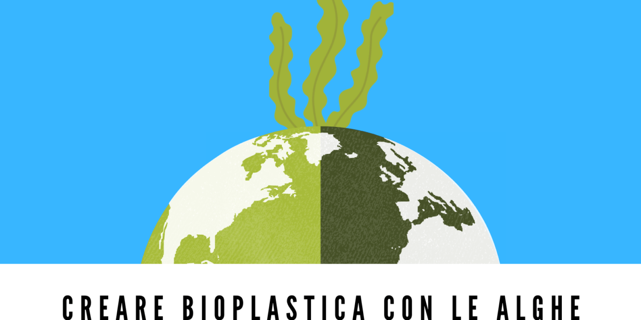 BioTinkering: creare bioplastica con le alghe Workshop gratuito di formazione per educatori e insegnanti al FabLab Junior