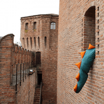 Speciali visite guidate al Castello