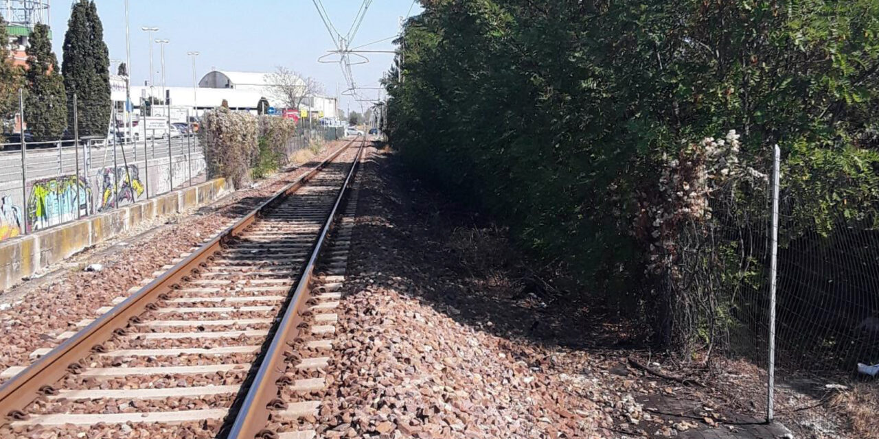 Domenica potature sulla linea ferroviaria