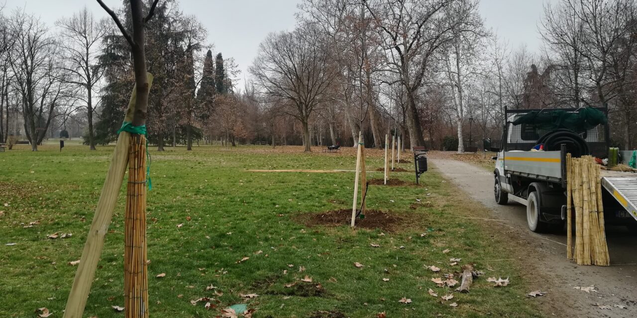22 nuovi alberi al Parco Vistarino