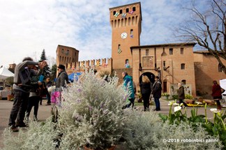 Dati sul turismo: Formigine cresce