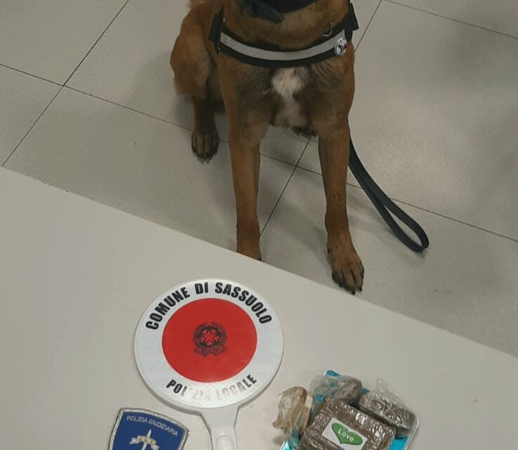SEQUESTRATO UN ETTO DI SOSTANZA STUPEFACENTE