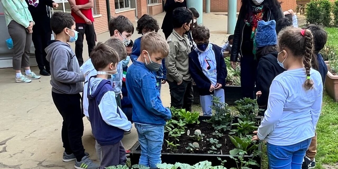 SCUOLA PRIMARIA ‘STRADI’, ECCO IL NUOVO ‘GIARDINO DEI PICCOLI’:  “GLI ALUNNI CURANO UN ORTO E IMPARANO I TEMPI DELLA NATURA”