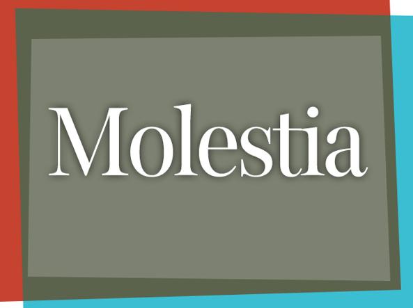 Modena \ Platis (FI): la politica dello struzzo non funziona, ora serve un progetto di tolleranza zero a 360
