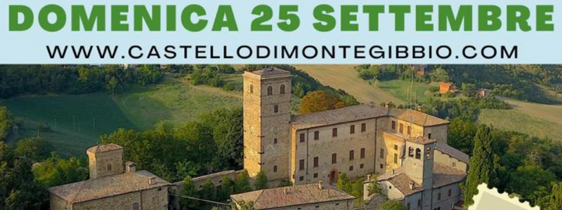 Visite al Castello di Montegibbio