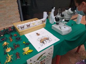 Oh my green: al CEAS ripartono gli appuntamenti a tema ambientale