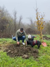 Giornata Nazionale degli Alberi