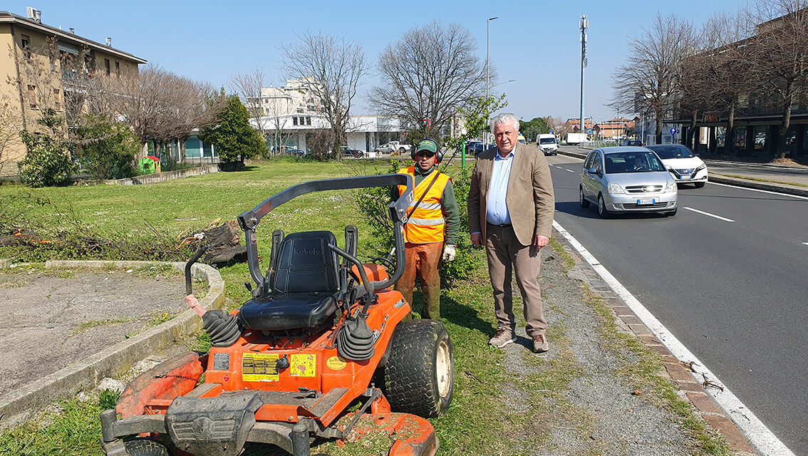 RIPRESI GLI SFALCI NELLE AREE PUBBLICHE
