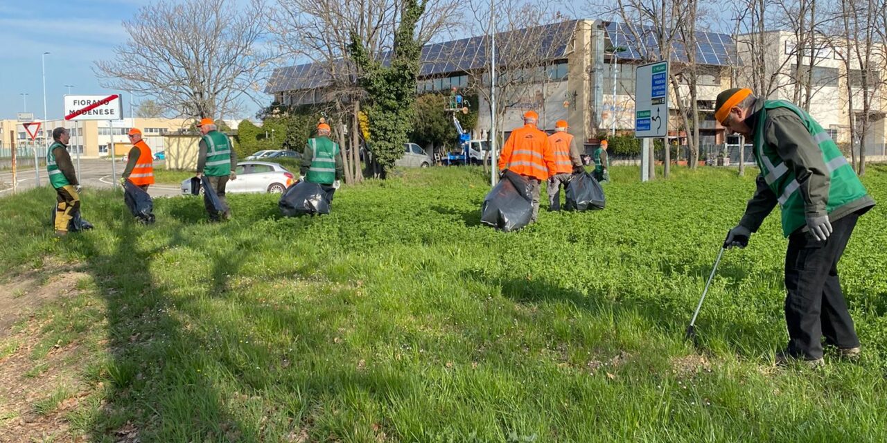 I campi adiacenti alla Pedemontana ripulita dai volontari