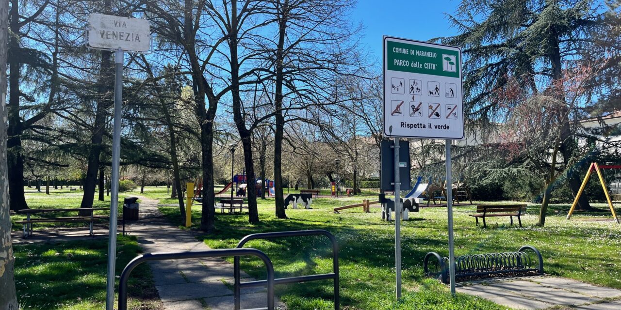 Burattini, spettacolo al parco di Pozza