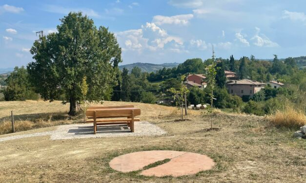 Tola Dolza: la camminata per Monica Mammi