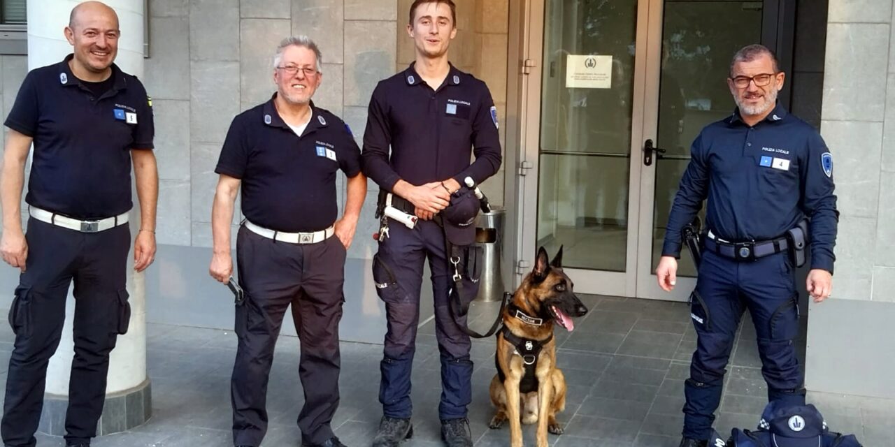 Controllo delle aree verdi con Hector