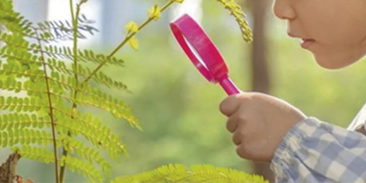Domani a Formigine “Vivi il Verde -Il parco e i suoi abitanti”