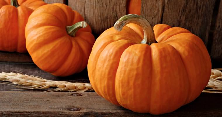 Una serata a tutta ZUCCA