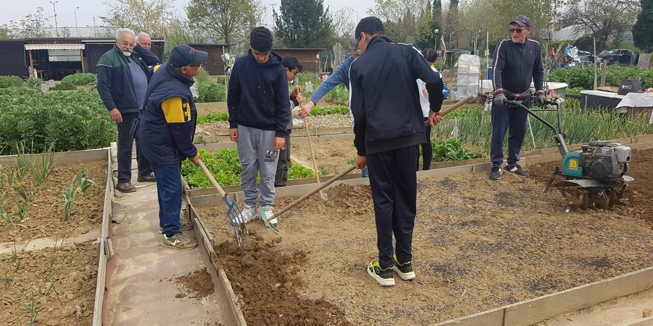 Orti da assegnare a Fiorano Modenese