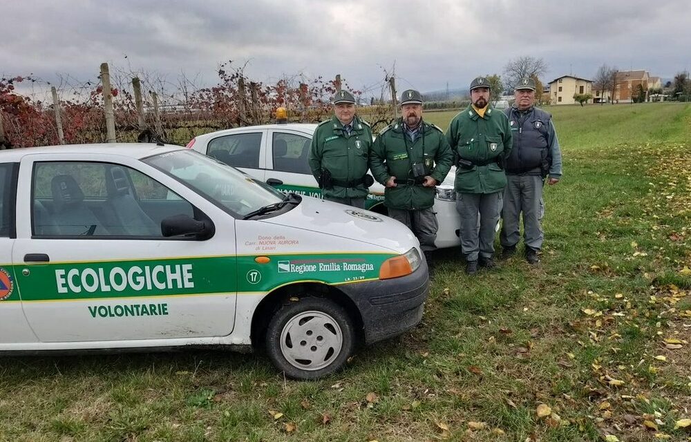 Guardie Giurate Ecologiche Volontarie: il report
