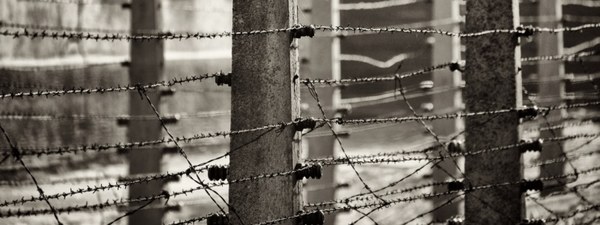 Giornata della Memoria 2024  OGGI, al via le iniziative in territorio comunale