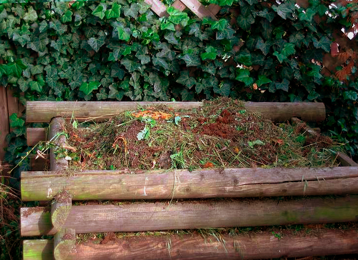 Giardini e compostaggio, ciclo di incontri