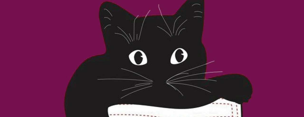 Chat en poche