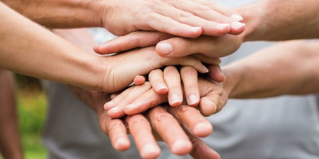 Solidarietà all’assessore Zilioli da M5S e Italia Viva