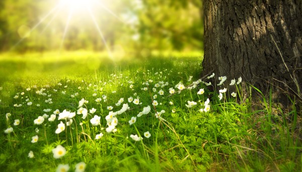 Festa di Primavera e del Fiume