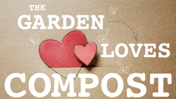 Compostaggio: come fare