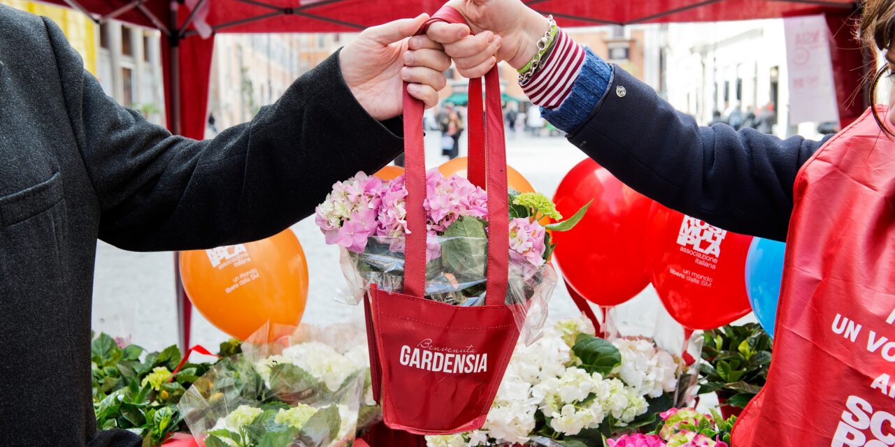Il 9 e 10 marzo 2024 torna la Gardensia di Aism nelle principali piazze modenesi per sostenere la ricerca per sconfiggere la sclerosi multipla