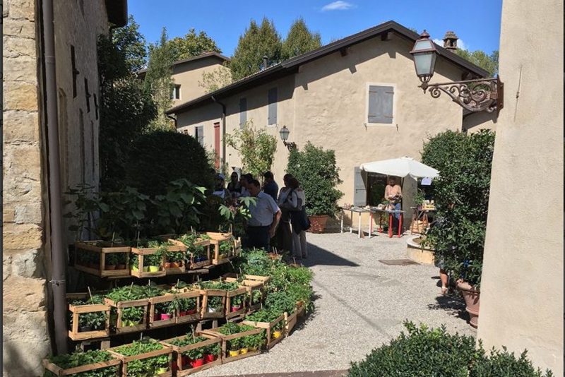 Il 25 e 26 aprile 2026 torna Borgo Plantarum 